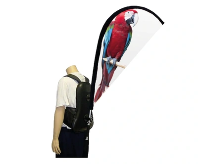 Backpack Flag